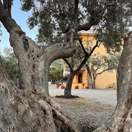 Apartamento Il Pantheon - Demetra *