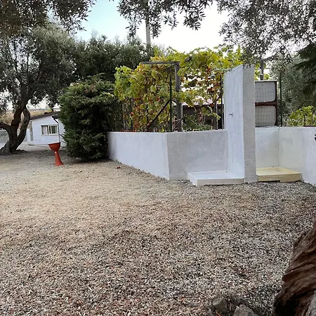 Il Pantheon - Demetra *